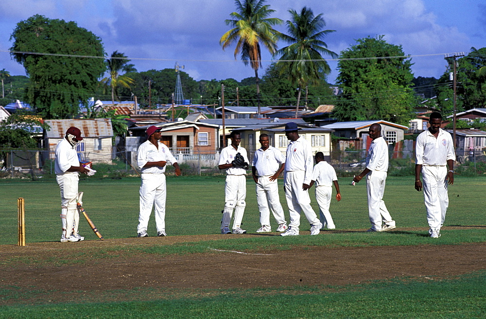 Caribbean, West Indies, Barbados, Barbados, Cricket Game, The Police League Team Against The Telecom Team