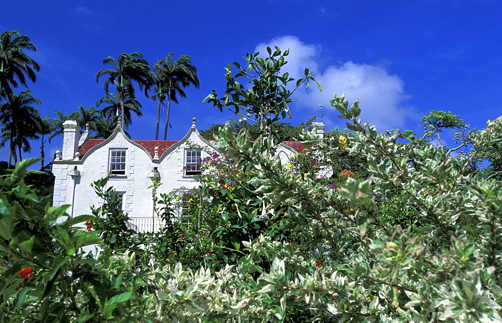 Caribbean, West Indies, Barbados, St Peter Parish, Nicholas Abbey Plantation House, Can Be Visited 