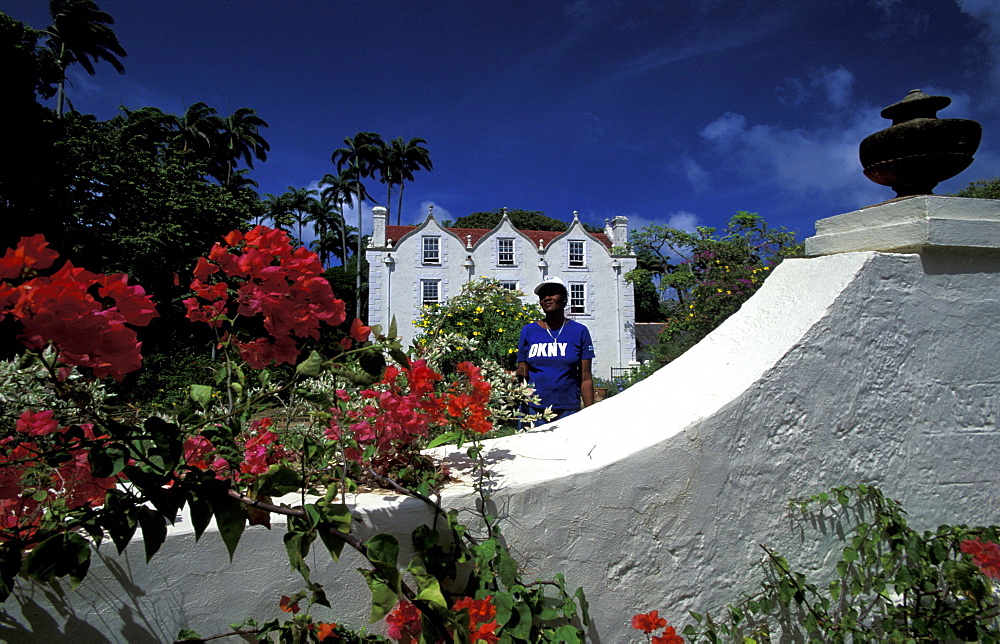 Caribbean, West Indies, Barbados, St Peter Parish, Nicholas Abbey Plantation House, Can Be Visited 