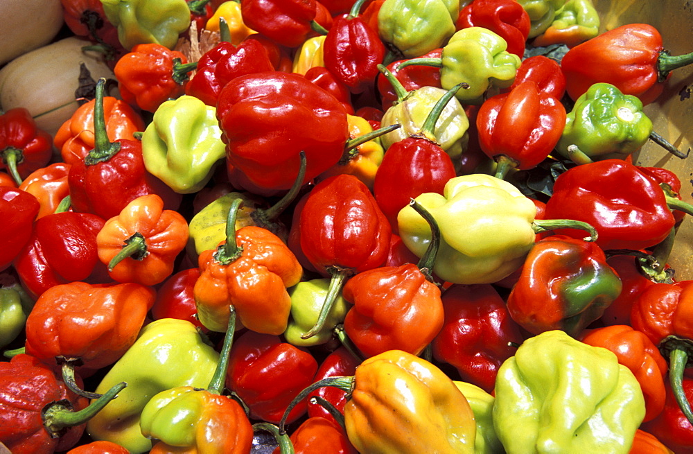 Caribbean, West Indies, Barbados, Bridgetown, The Market