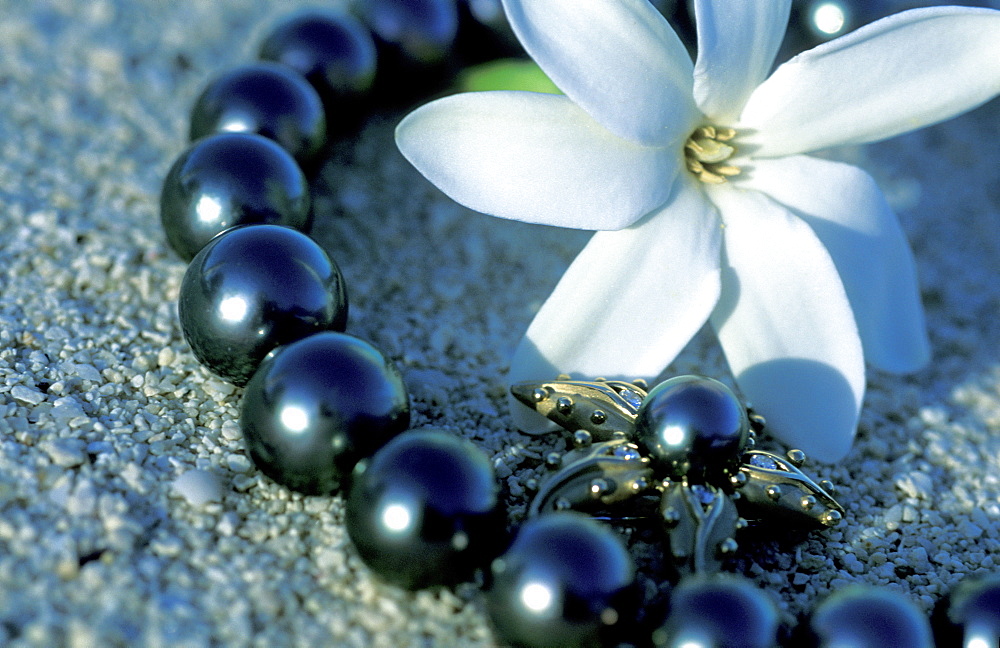 French Polynesia, Bora Bora, A High Quality Black Pearls Necklace Sold By Didier Sibani On The Matira Beach Sand