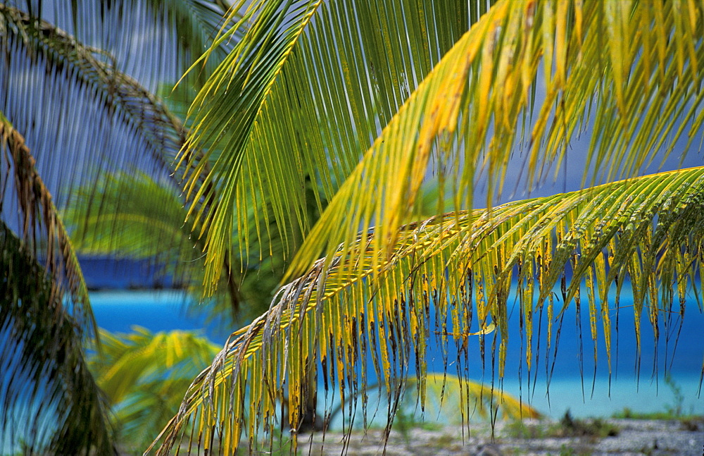 French Polynesia, Tuamotu Archipelago