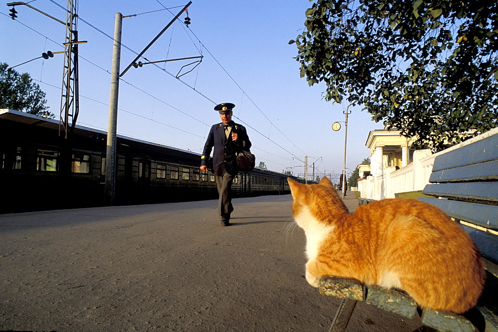 Russia, St-Petersburg, Cat Waiting For The Next Train In Pavlovsky Station