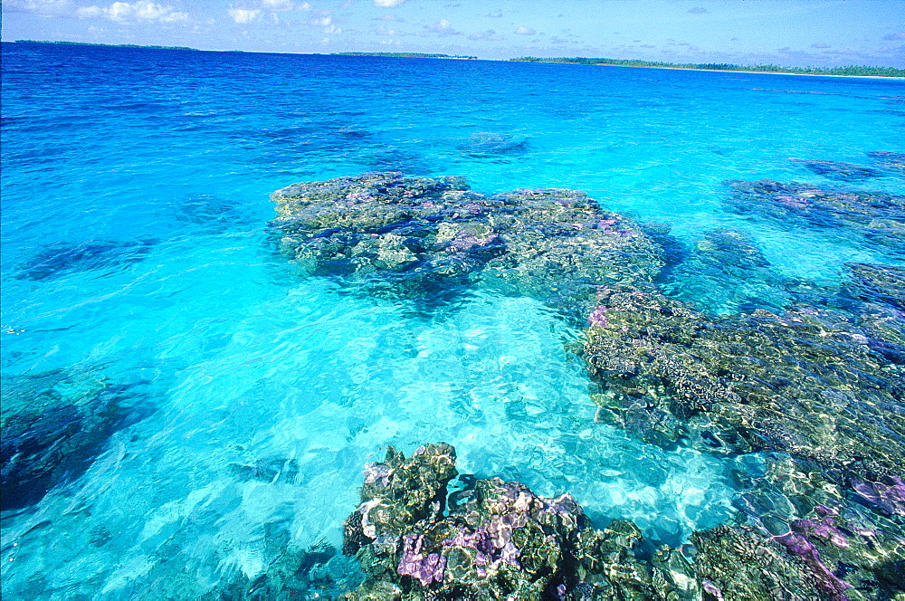 French Polynesia, Tuamotu Archipelago, Manihi At Oll, The Lagoon, Coral Reefs At Fore