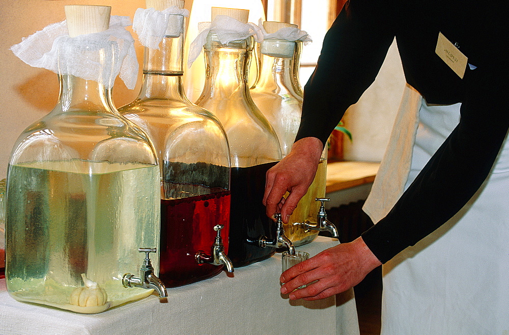 Russia, St-Petersburg, Alcohols Distilled With Vegetables In A Restaurant