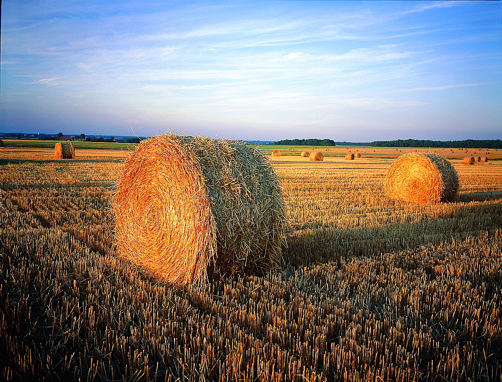 France, To Uraine Val-De-Loire, In Dre-Et-Loire, Near Sache Wheat Fields Just Cropped, Bales Of Straw Left To Be Picked Up