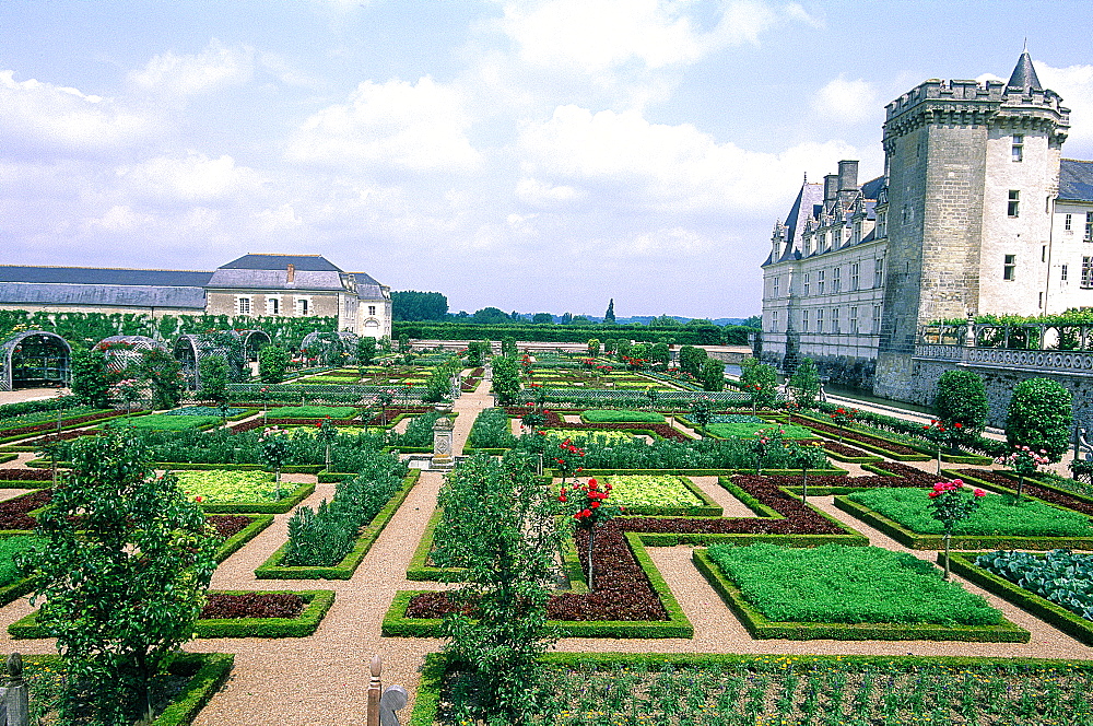 France, To Uraine Val-De-Loire, In Dre-Et-Loire, Villandry Renaissance Castle, The Famous Classical Gardens A La Francaise (French Style)