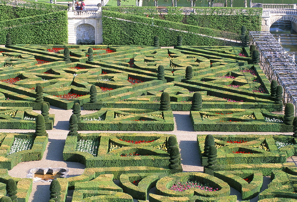 Formal gardens, Chateau de Villandry, UNESCO World Heritage Site, Loire Valley, France, Europe