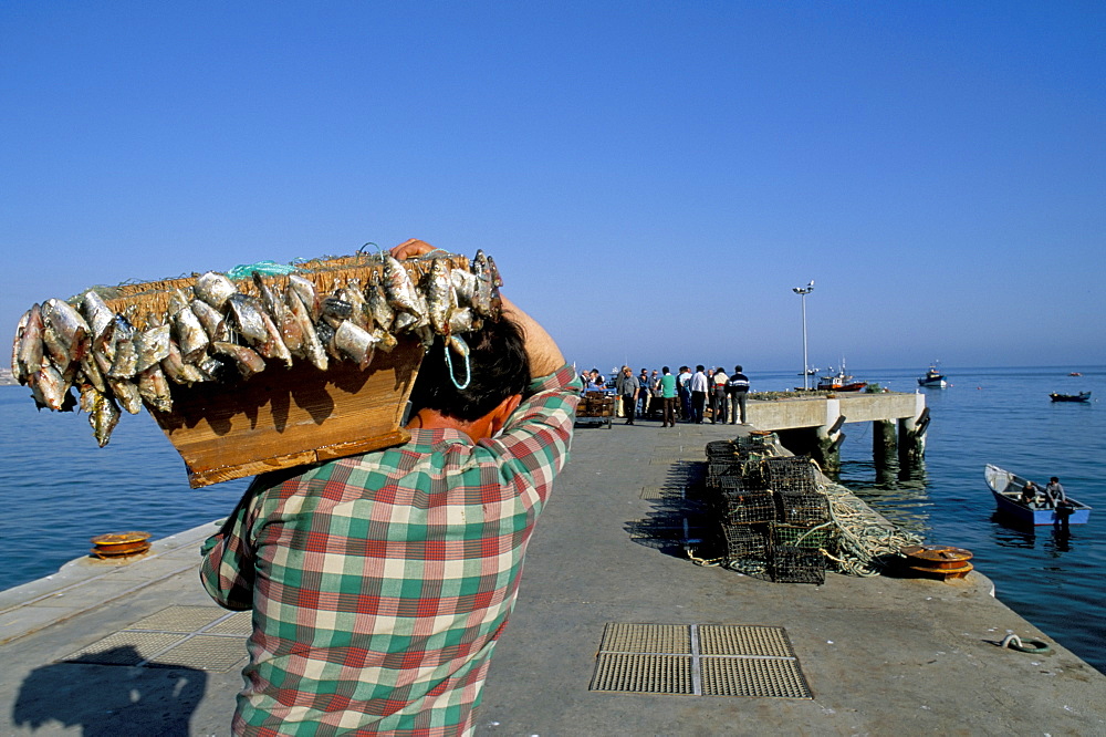 Fisherman leaving harbour, Cascais, Portugal, Europe