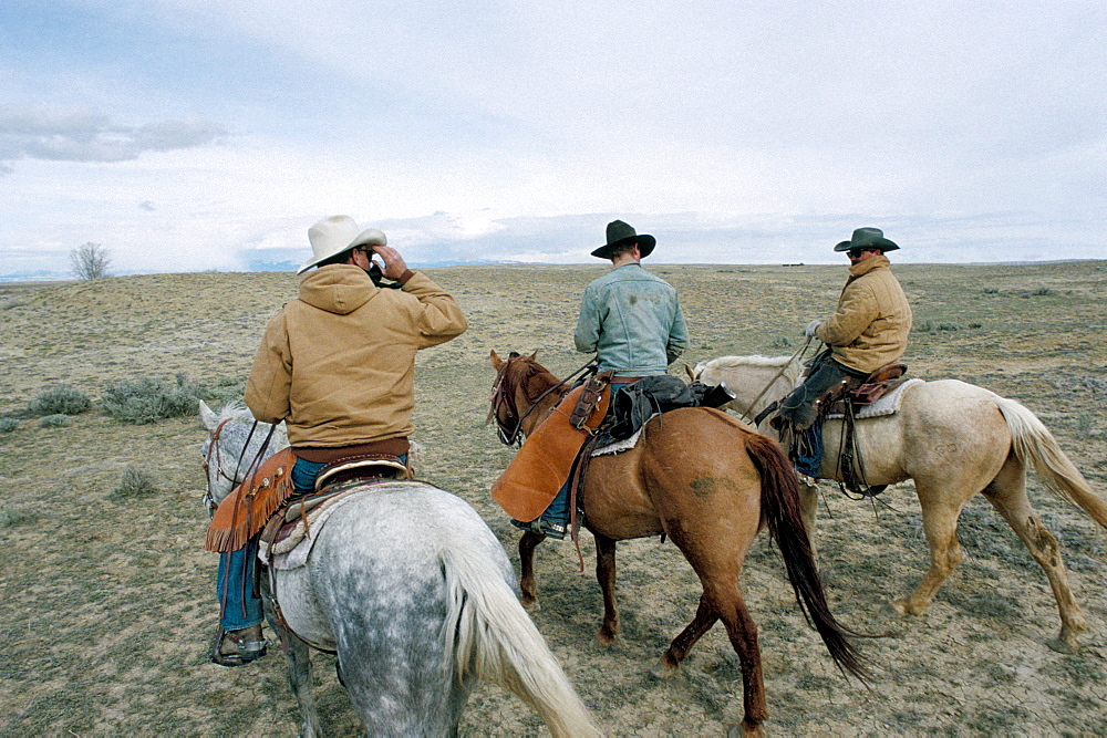 Greybull, Wyoming, United States of America, North America