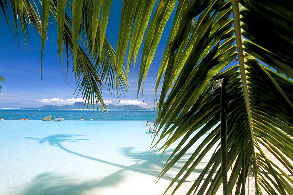 Beach, Tahiti, Society Islands, French Polynesia, Pacific