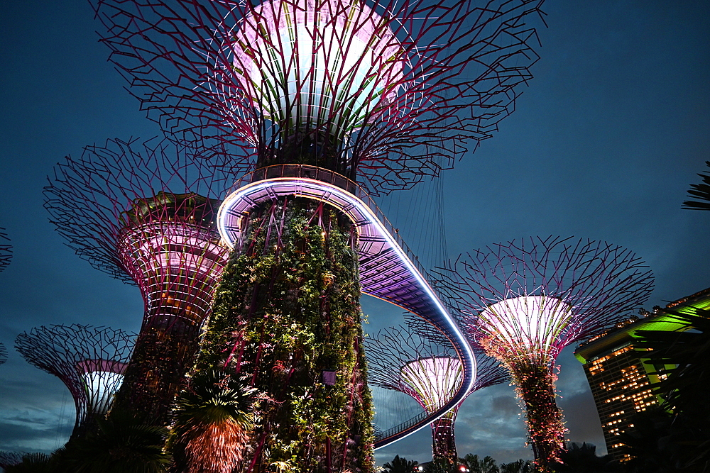 Super Trees in Gardens by the Bay