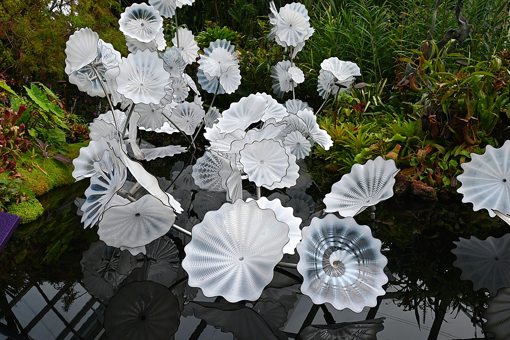 Glass flower sculptures in Rain Cloud dome