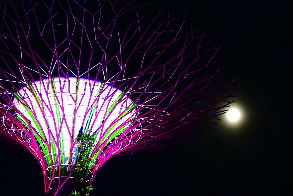Super tree and full moon in Gardens by the Bay