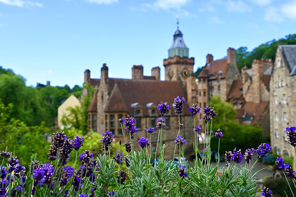 Lavender and old buildings, Dean village, Waters of Leith