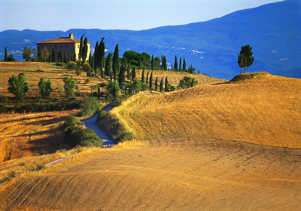 House in a Field in the Siena Countryside, Tuscany, Italy