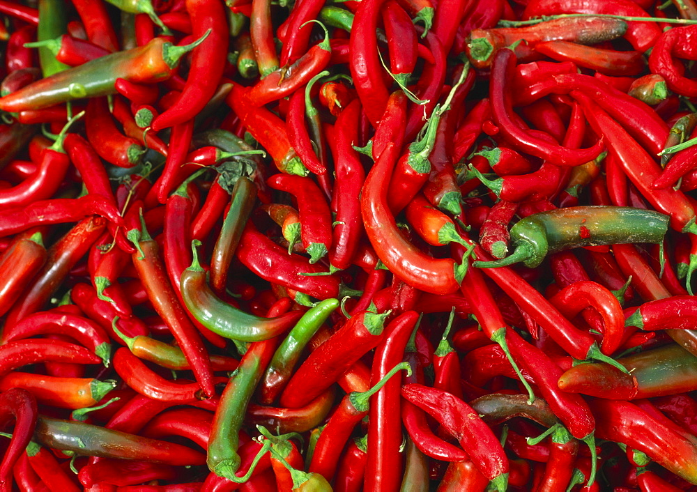 Large Pile of Red and Green Chillies