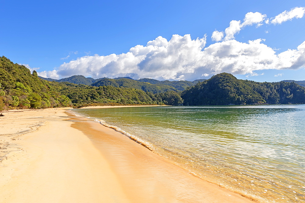 Anchorage Bay, Abel Tasman National Park, Nelson, South Island, New Zealand, Pacific 