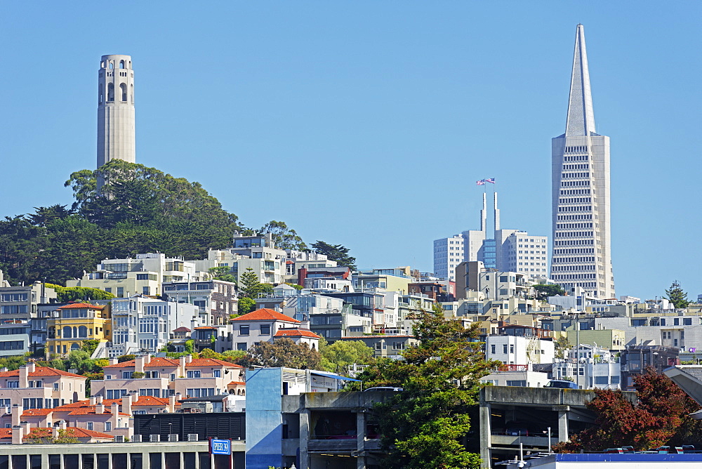 Coit Tower stands on top of Telegraph Hill, San Francisco, California, United States of America, North America