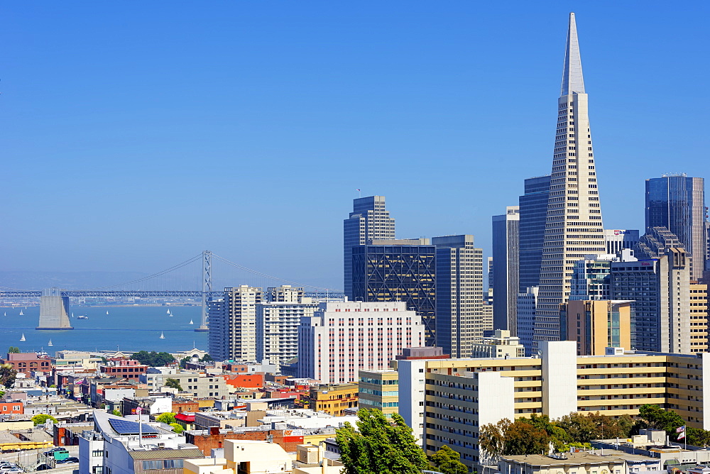 Downtown and TransAmerica Building, San Francisco, California, United States of America, North America