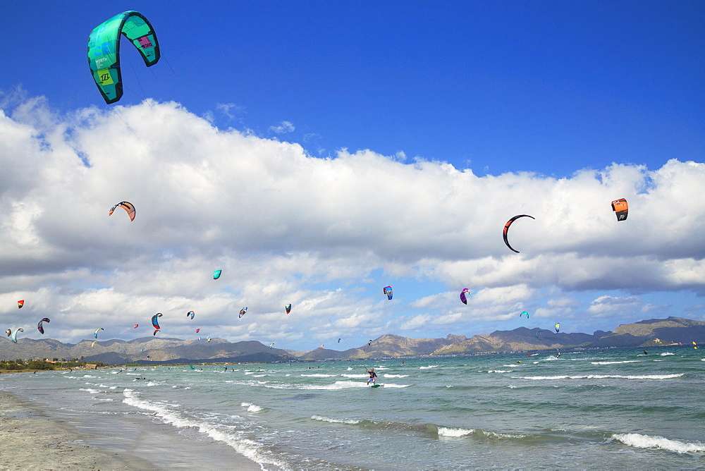 Kitesurfing, Alcudia beach. Mallorca (Majorca), Balearic Islands, Spain, Mediterranean, Europe