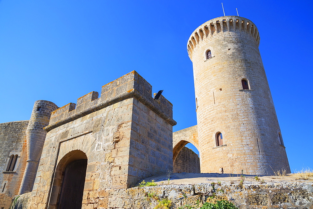 Bellver Castle, Palma de Mallorca, Mallorca (Majorca), Balearic Islands, Spain, Europe