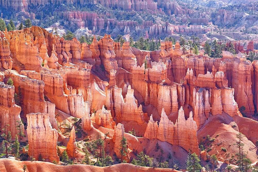 Bryce Canyon, Bryce Canyon National Park, Utah, United States of America, North America