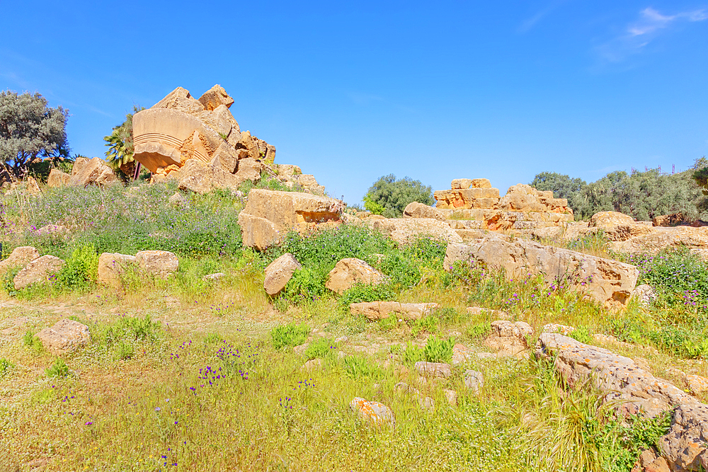 Temple of Olympian Zeus, Valley of Temples, Agrigento, Sicily, Italy