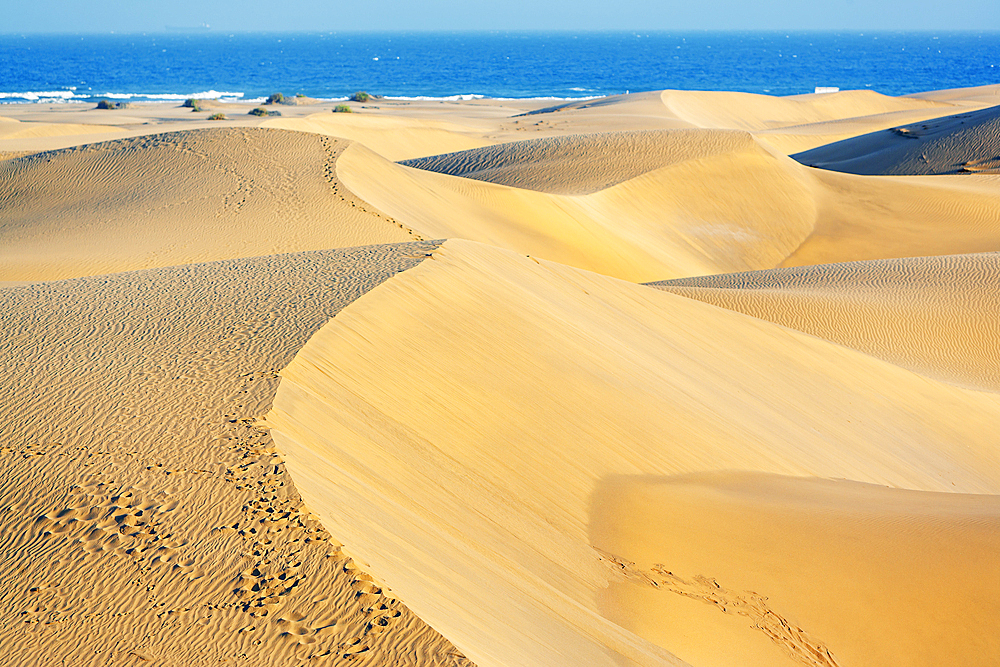 Sand dunes, Maspalomas, Playa del Ingles, Gran Canaria, Canary Islands, Spain