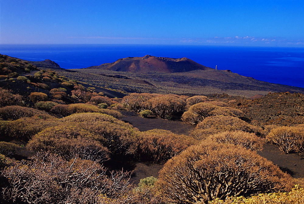 Plants and a volcano cone viewed from La Dehesa, with Atlantic Ocean in the background, El Hierro, Canary Islands, Spain, Europe