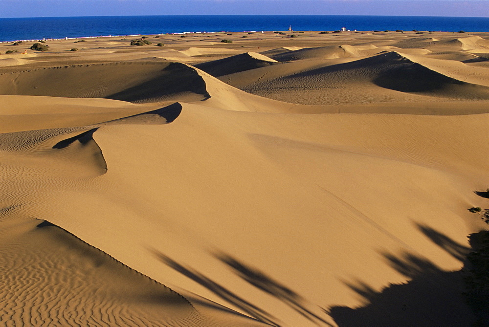 Sand dunes and sea, Maspalomas, Gran Canaria, Canary Islands, Spain, Atlantic, Europe