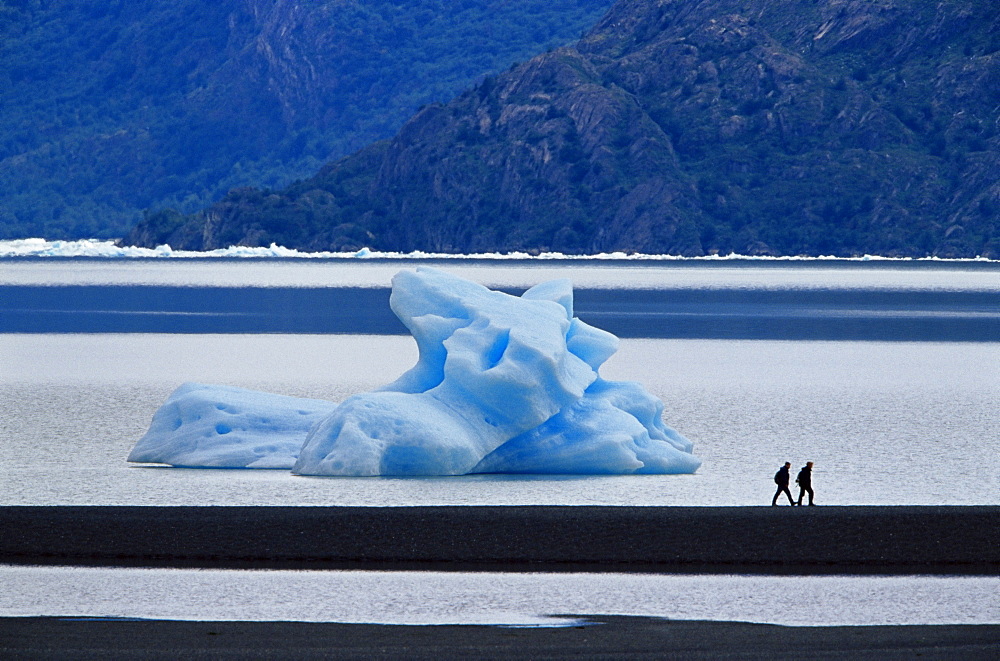 Hikers walking in front of a floating iceberg, Lake Gray, Torres del Paine National Park, Patagonia, Chile, South America