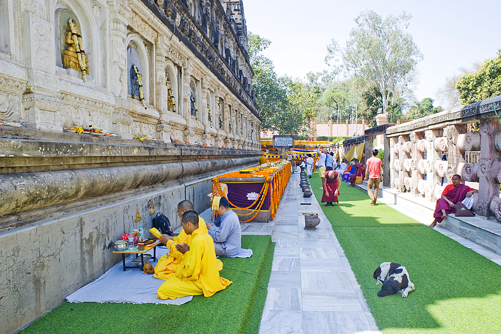 Flower offerings and devotees in the Cloister Walk of the Buddhist Mahabodhi Mahabihara Temple (Great Stupa), Bodh Gaya, UNESCO World Heritage Site, Bihar, India, Asia