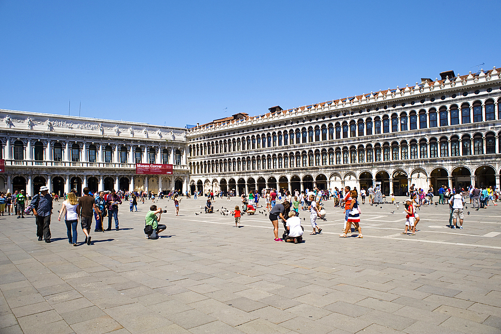 View of the Piazza de San Marco (St. Mark's Square), facing the Basilica of San Marco (St. Mark's Basilica) with the Procuratorie Vecchie stretching to the right and the Correr Museum on left, Venice, UNESCO World Heritage Site, Veneto, Italy, Europe