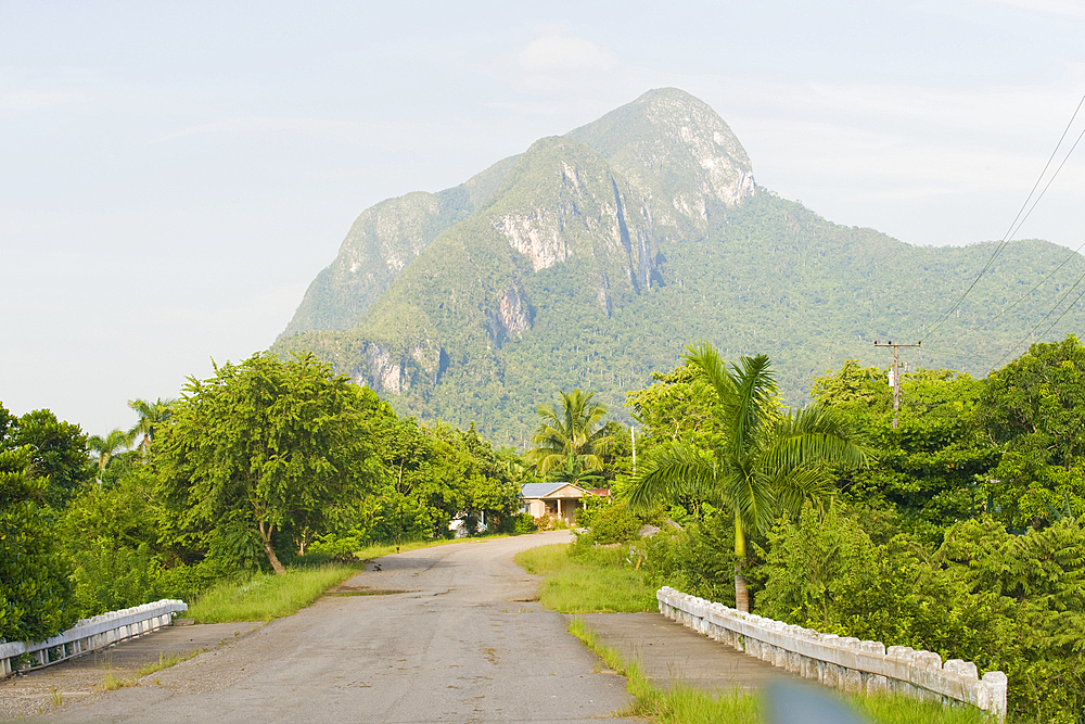 Pan de Guajaibon, 699 metres asl, Artemisa Province, Cuba, West Indies, Caribbean, Central America