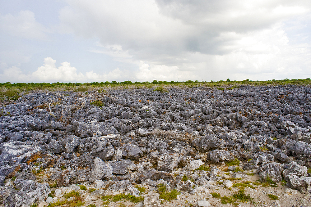 Playa Caleta Larga, Cabo San Antonio, Guanahacabibes Peninsula National Park and Biosphere Reserve, Pinar del Rio, Cuba, West Indies, Caribbean, Central America