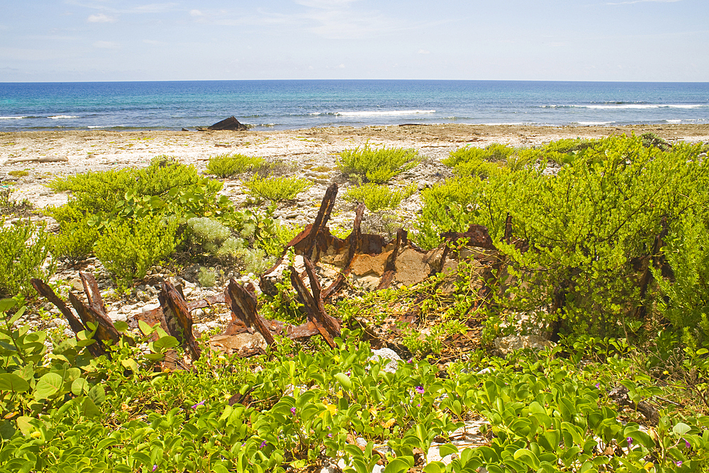 Playa La Barca, Cabo San Antonio, Guanahacabibes Peninsula National Park and Biosphere Reserve, Pinar del Rio, Cuba, West Indies, Caribbean, Central America