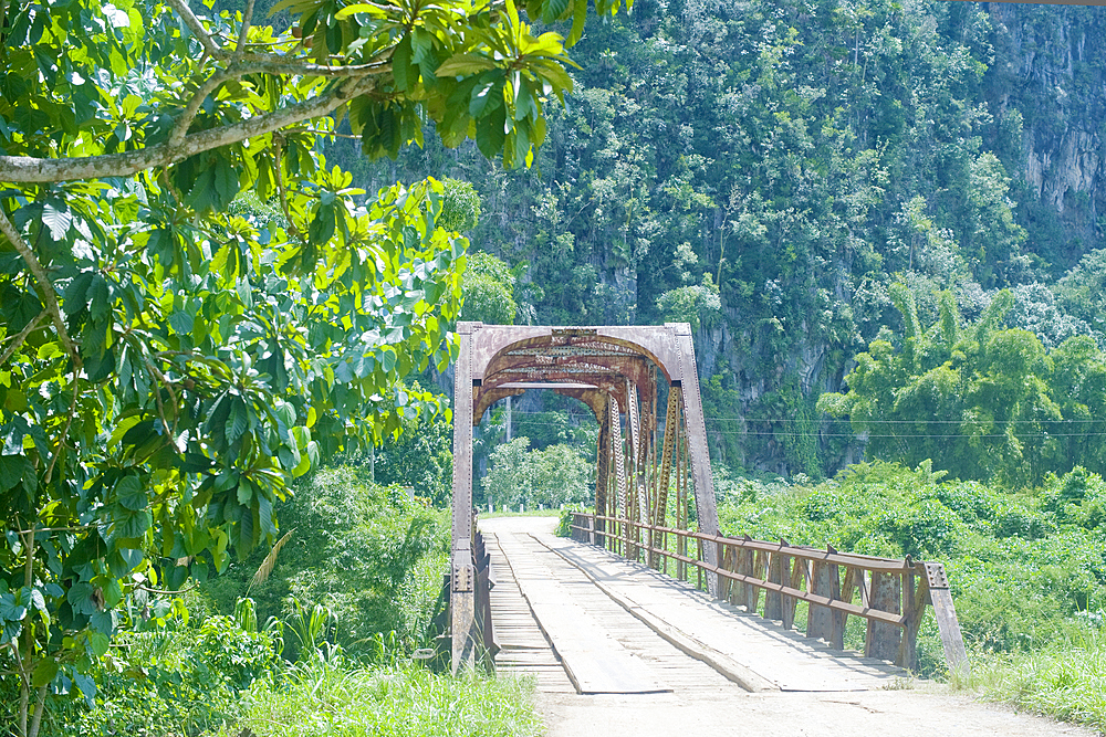 Rustic bridge, Valle de San Carlos, Sierra de Los Organos, Pinar del Rio, Cuba, West Indies, Caribbean, Central America