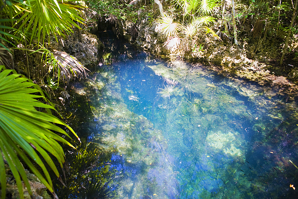 Cuba, Greater Antilles, West Indies, Caribbean, Matanzas province. Looking down into the Los Peces fresh water cave near Playa Giron.