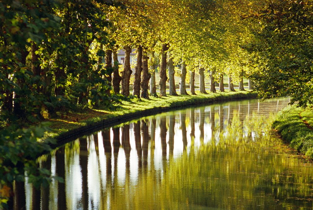 The bank of the Hure, Canal Lateral a la Garonne, Gironde, Aquitaine, France, Europe