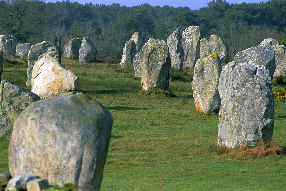 Alignments of Megalithic standing stones, Carnac, Morbihan, Brittany, France, Europe