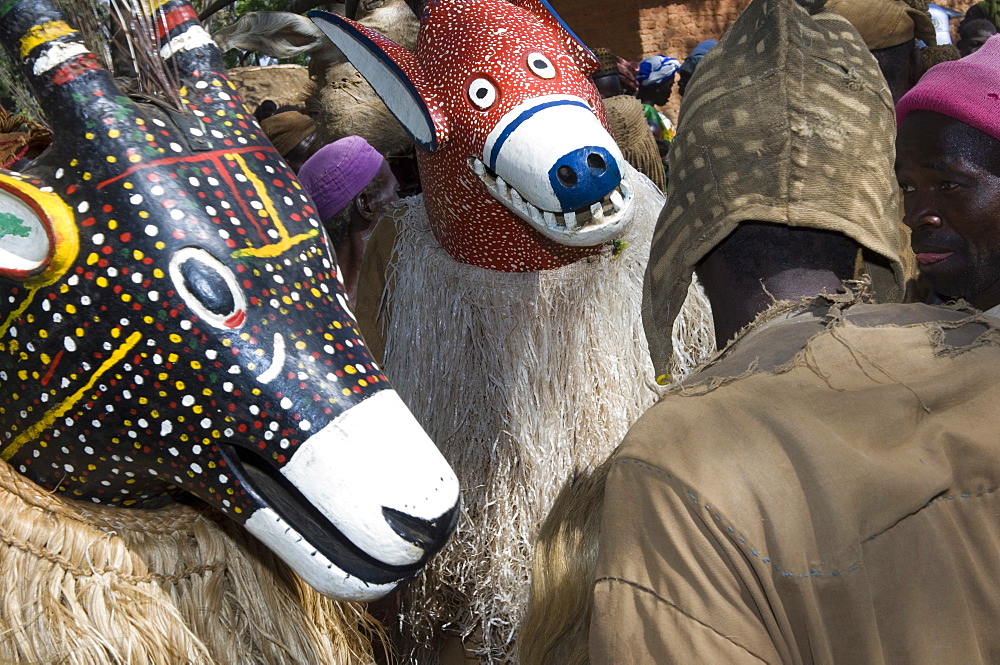 Senufo masks during festivities in the village of Loulouni, Sikasso area, Mali, Africa