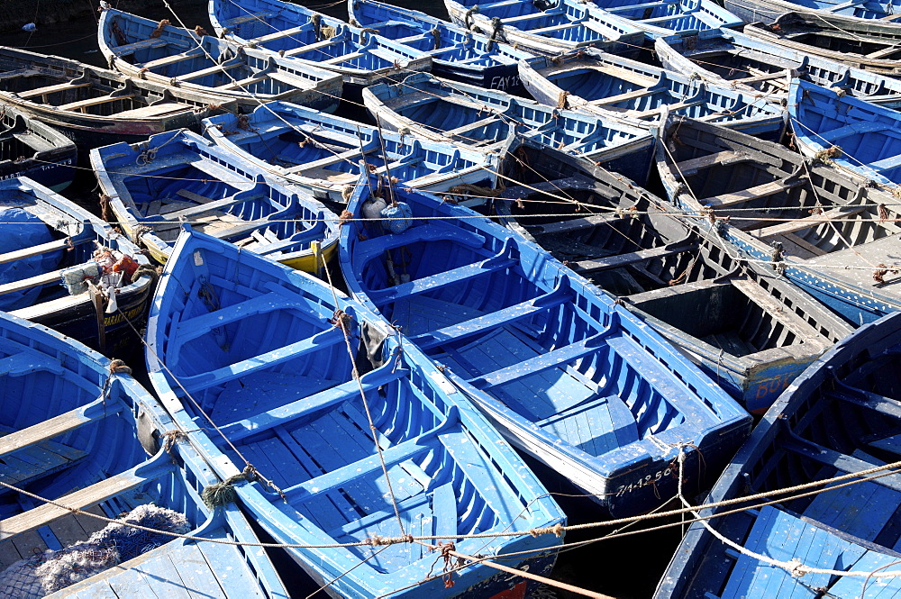 The old fishing port, Essaouira, historic city of Mogador, Morocco, North Africa, Africa