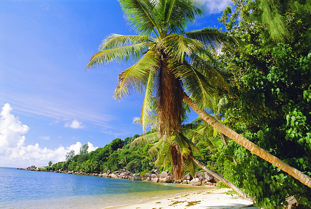 Anse Lazio, Chevalier Bay, Praslin, Seychelles, Indian Ocean 