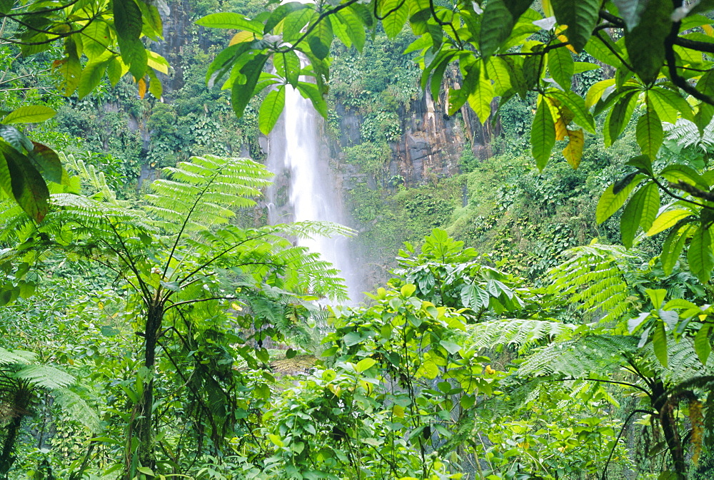 Waterfall, Guadeloupe, French Antilles, West Indies, Caribbean