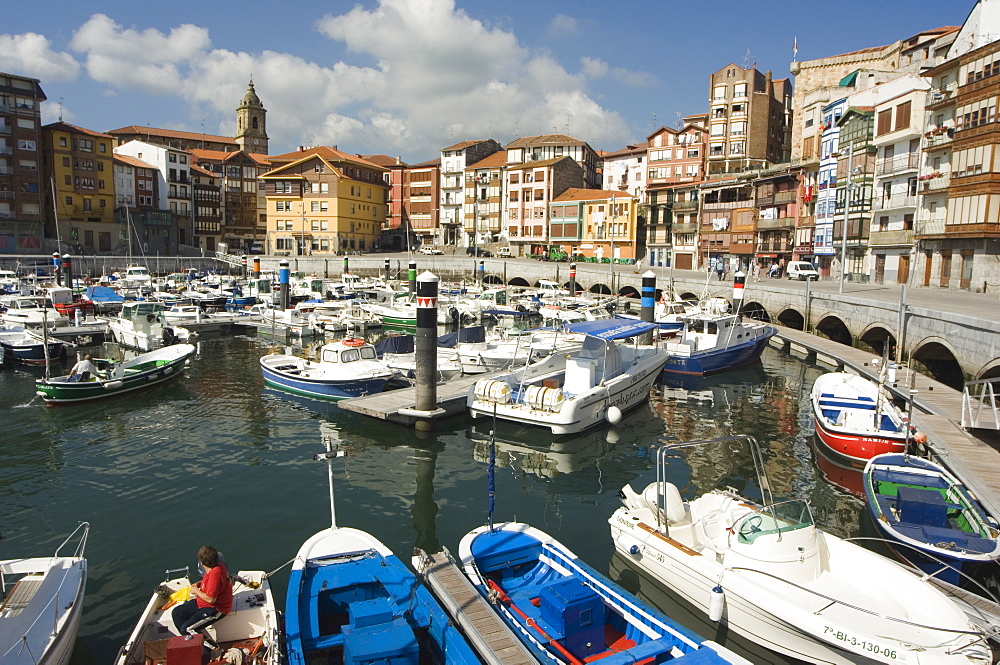 Old Town Harbour, Bermeo, Euskadi (Basque Country) (Pais Vasco), Spain, Europe