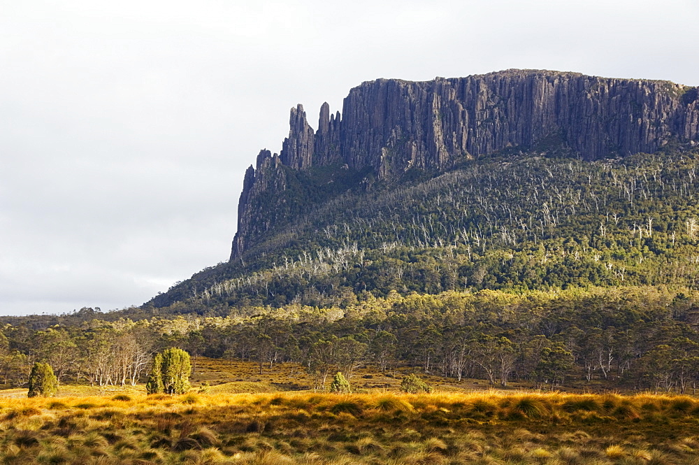 Mount Oakleigh at New Pelion on the Overland Track, Cradle Mountain Lake St. Clair National Park, part of Tasmanian Wilderness, UNESCO World Heritage Site, Tasmania, Australia, Pacific