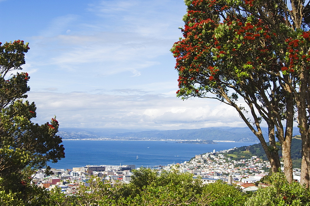 Panoramic city centre view overlooking Oriental Bay and Wellington Harbour, Wellington, North Island, New Zealand, Pacific