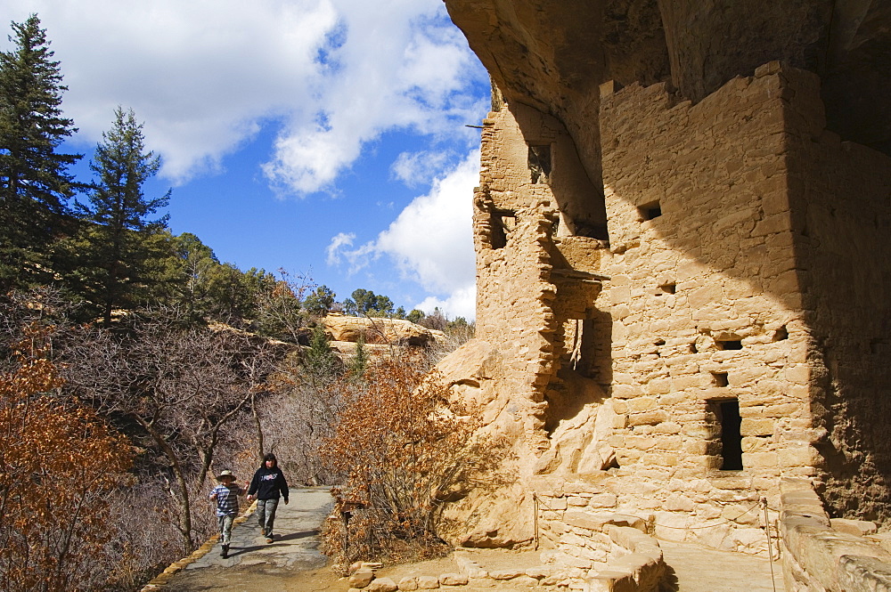 Spruce Tree House Ruins, Pueblo ruins in Mesa Verde containing some of the most elaborte Pueblo dwellings found today, Mesa Verde National Park, UNESCO World Heritage Site, Colorado, United States of America, North America