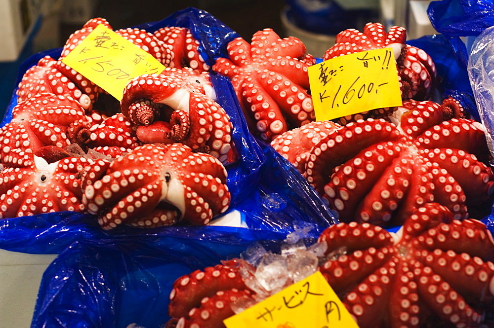 Octopus at Tsukiji fish market, Tokyo, Honshu Island, Japan, Asia